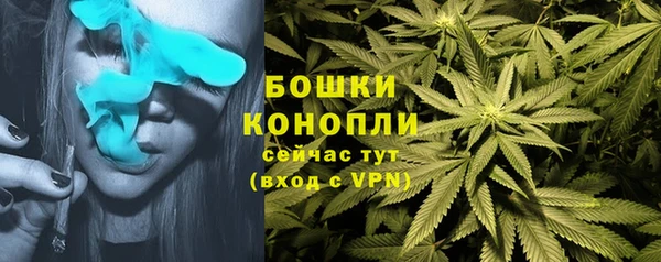 дживик Заволжье